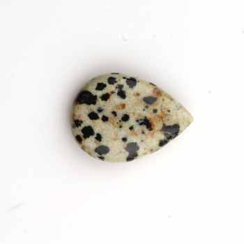 High Quality Smooth Pear Shape Dalmatian Jasper 16x22mm Briolette Low Price Loose Gemstone for Jewelry Making Direct Supplier