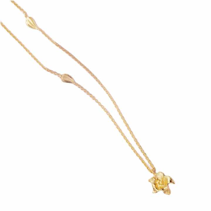 Best Selling Genuine 925 Sterling Silver 18K Micron 18k Gold Plated Flower Mallow Lariat Bridesmaid Chain Necklace for Women