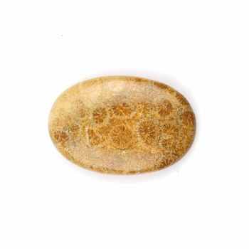 Best Selling Lowest Price Natural 20x30mm Smooth Oval Shape Yellow Agatized Coral Loose Gemstone Cabochons for Making Jewelry