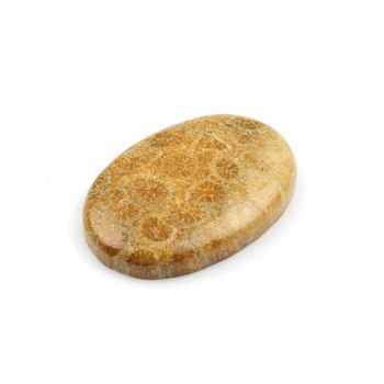 Best Selling Lowest Price Natural 20x30mm Smooth Oval Shape Yellow Agatized Coral Loose Gemstone Cabochons for Making Jewelry