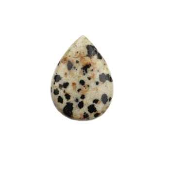 High Quality Smooth Pear Shape Dalmatian Jasper 16x22mm Briolette Low Price Loose Gemstone for Jewelry Making Direct Supplier