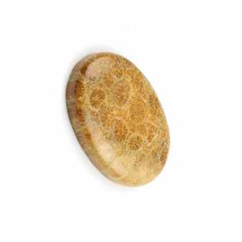Best Selling Lowest Price Natural 20x30mm Smooth Oval Shape Yellow Agatized Coral Loose Gemstone Cabochons for Making Jewelry