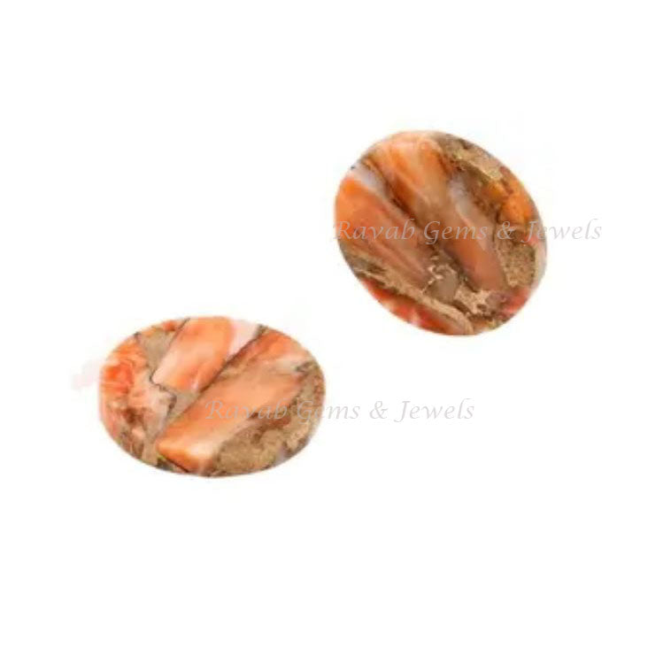 Sponge Coral Copper Coin Shape 12mm Both Side Flat Gemstone, Calibrated Sponge Coral Loose Beads Earrings, Stones For Gifted 2 Pcs Set