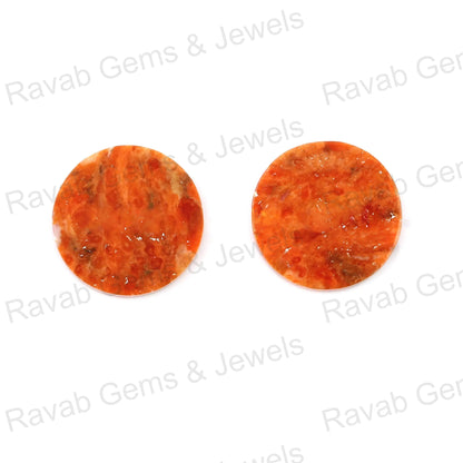 Apple Coral Copper Coin Shape 12mm Both Side Flat Gemstone, Calibrated Stones For Jewelry Earring Making, Pair Stones For Sale 2 Pcs Set